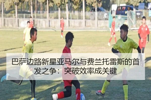 ba-sa-bian-lu-xin-xing-ya-ma-er-yu-fei-lan-tuo-lei-si-de-shou-fa-zhi-zheng-tu-po-xiao-lv-cheng-guan-jian-2-751.jpg