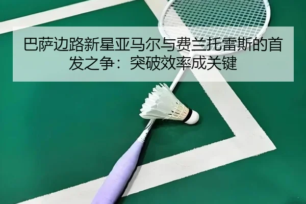 ba-sa-bian-lu-xin-xing-ya-ma-er-yu-fei-lan-tuo-lei-si-de-shou-fa-zhi-zheng-tu-po-xiao-lv-cheng-guan-jian-1-894.jpg