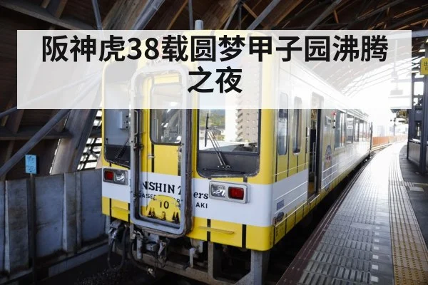 阪神虎38载圆梦甲子园沸腾之夜